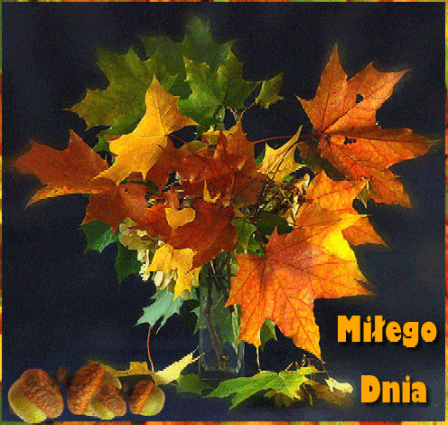 Bukiet Jesiennych Li ci I yczenia Mi ego Dnia Gify I Obrazki Na Bukiet Jesiennych Li ci I yczenia Mi ego Dnia Gify I Obrazki Na